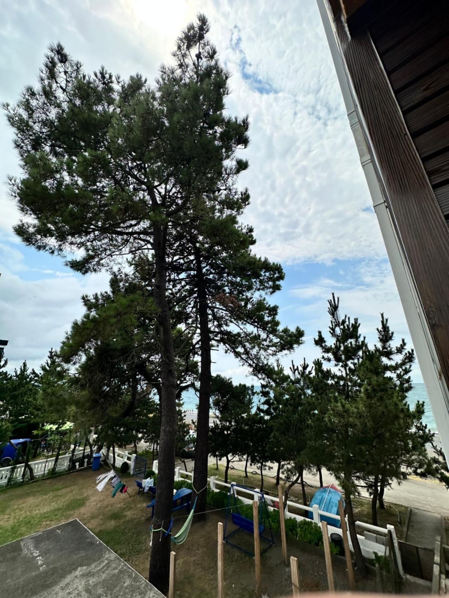 Hotel Black Sea Kobuleti Exterior foto